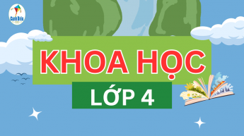 Khoa học- Lớp 4 - Bộ sách Cánh Diều